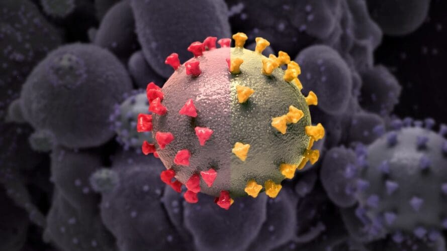 living with the coronavirus